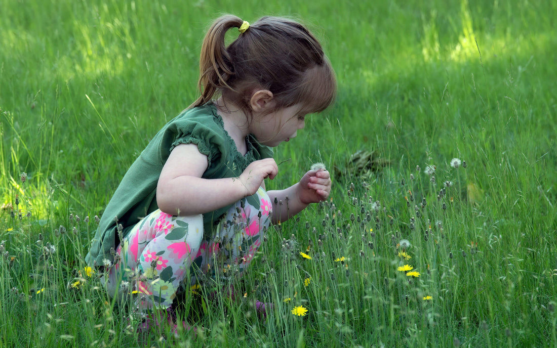 Holiday Gift Guide | 2-3 Year Olds