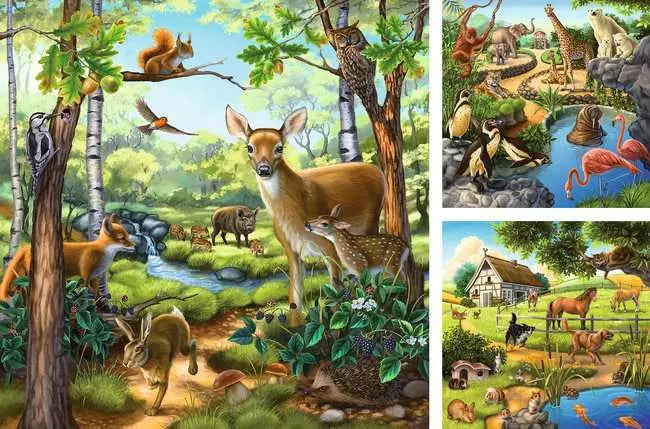 Forest/ Zoo/Domestic Animals 3 x 49 Piece Puzzles