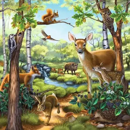 Forest/ Zoo/Domestic Animals 3 x 49 Piece Puzzles