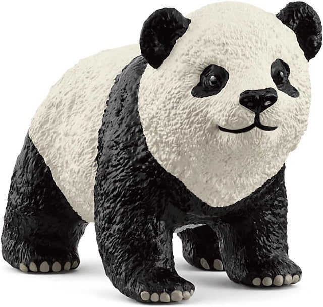 Giant Panda Cub