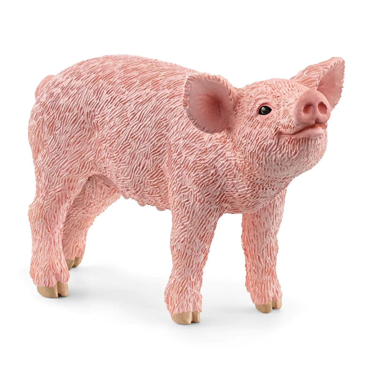 Piglet, Standing