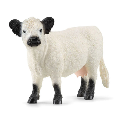 Schleich Galloway Cow - Little Pickles Toy Store