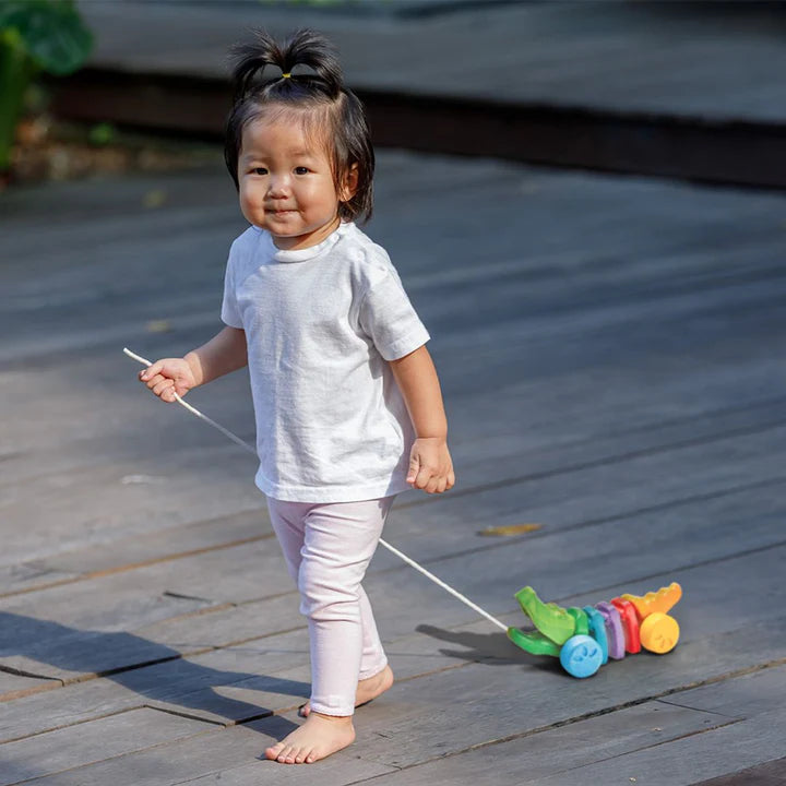Plan Toys Rainbow Dancing Alligator
