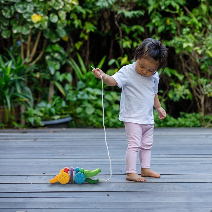 Plan Toys Rainbow Dancing Alligator