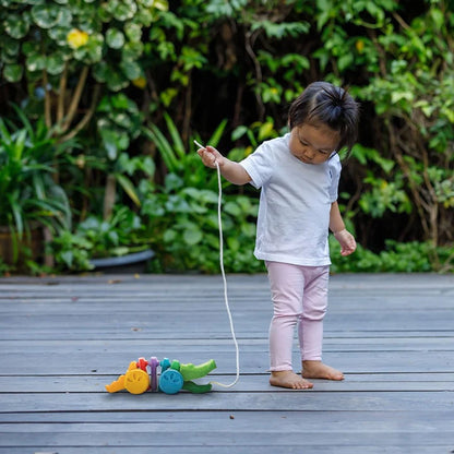 Plan Toys Rainbow Dancing Alligator