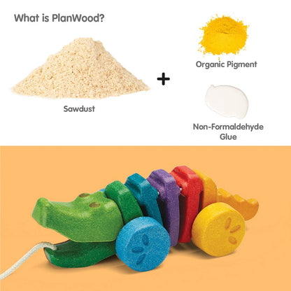 Plan Toys Rainbow Dancing Alligator - Little Pickles Toy Store