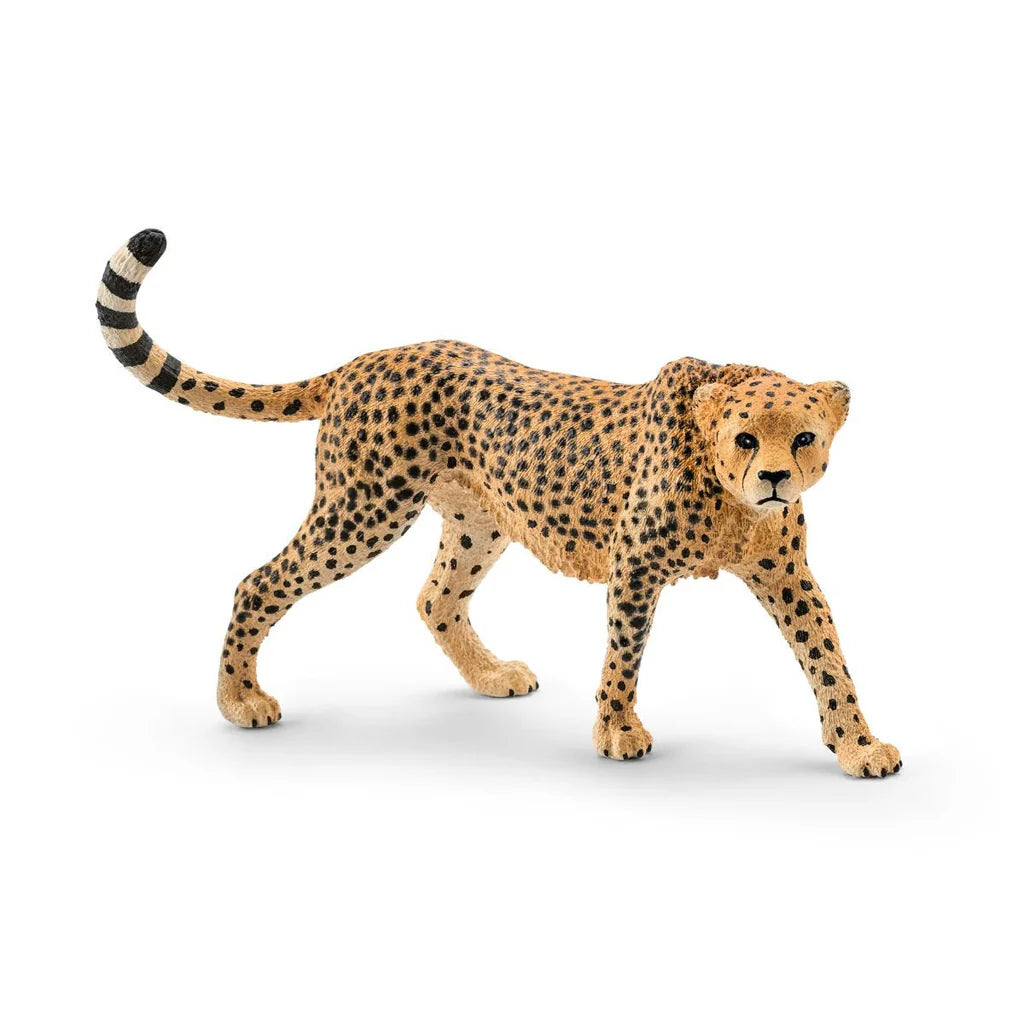 Schleich Cheetah - female