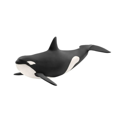Schleich Killer Whale - Little Pickles Toy Store