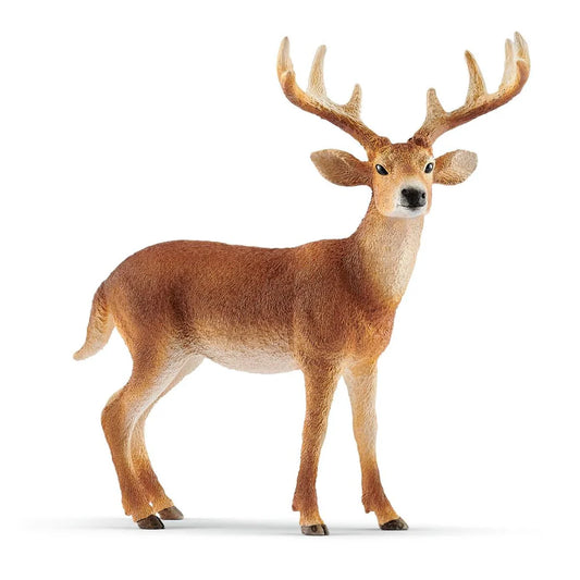 Schleich White-tailed buck