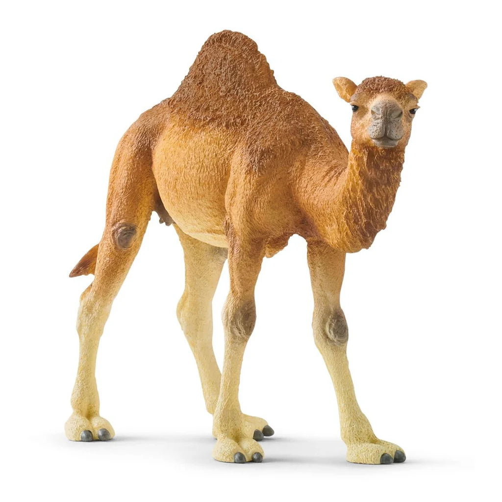 Schleich Dromedary #14832