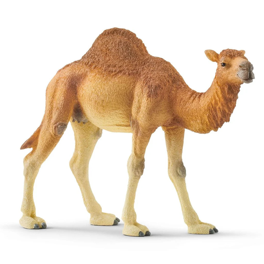 Schleich Dromedary #14832
