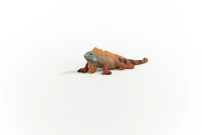 Schleich Iguana - Little Pickles Toy Store