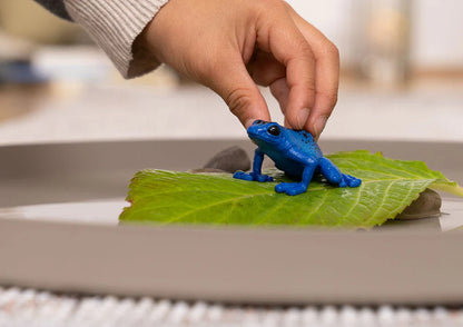 Schleich Poison dart frog - Little Pickles Toy Store