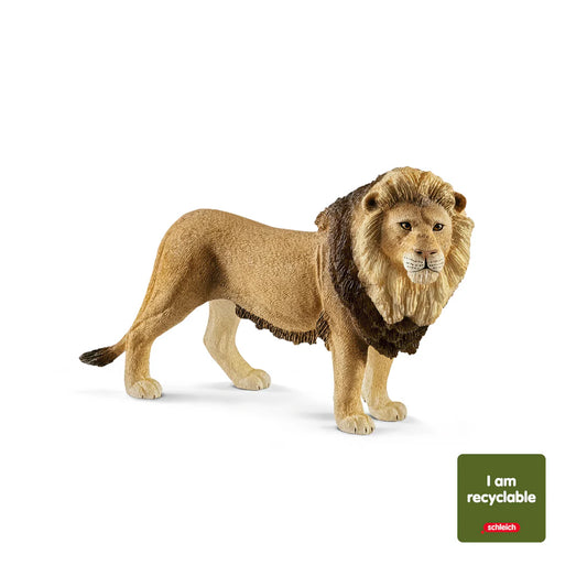 Schleich Lion