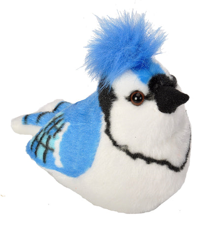 Audubon Birds - Little Pickles Toy Store