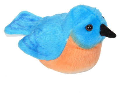 Audubon Birds - Little Pickles Toy Store