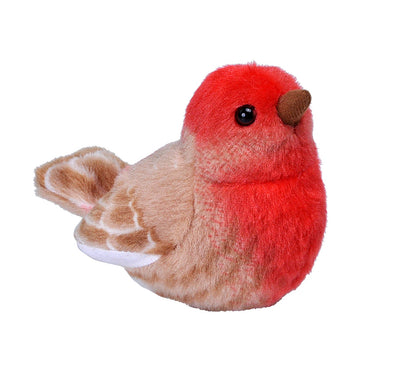 Audubon Birds - Little Pickles Toy Store