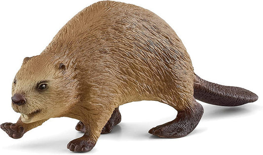 Beaver
