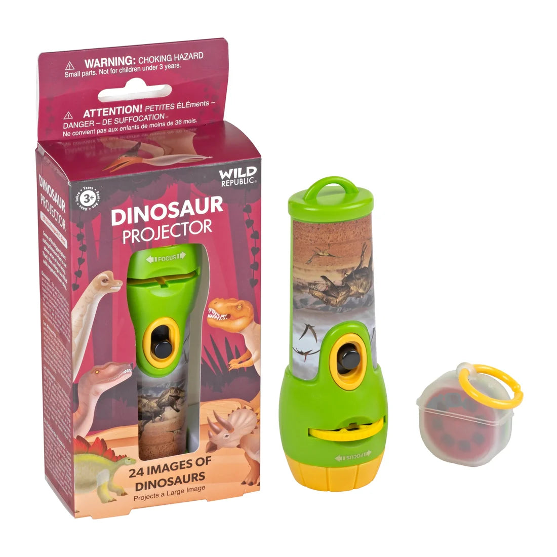 Dinosaur Projector