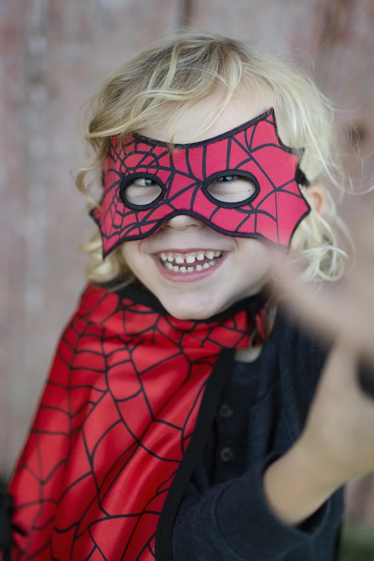 Reversible Spider/Bat Cape & Mask