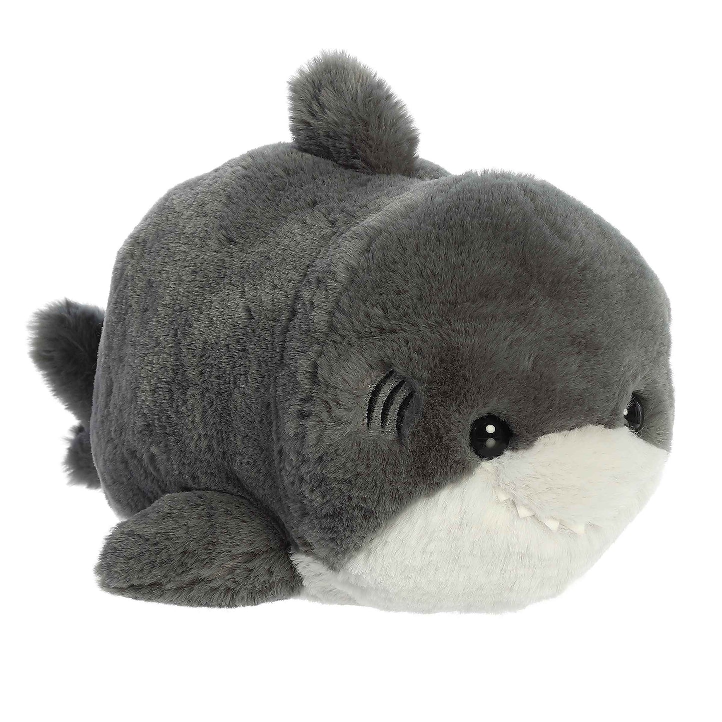 Sebastian Shark