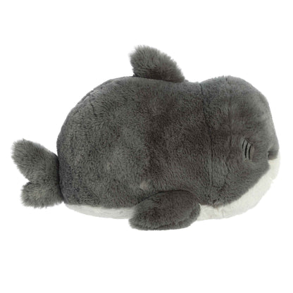 Sebastian Shark