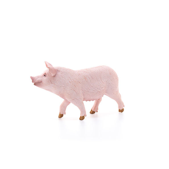 Pig, Standing