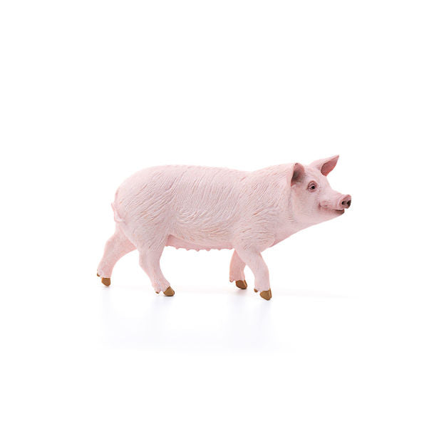 Pig, Standing