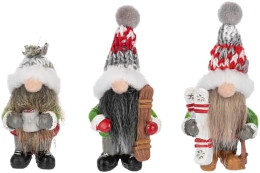 Snow Much Fun Gnomes