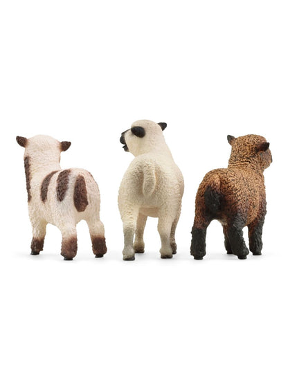 Schleich Farm World Sheep Friends - Little Pickles Toy Store