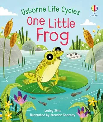Usborne Life Cycles One Little Frog