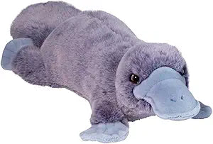 Allie Platypus