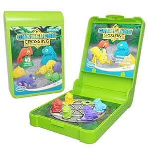 Flip N Play Assorted
