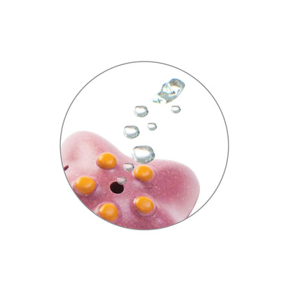 Plan Toys Sea Life Bath Set - Little Pickles Toy Store