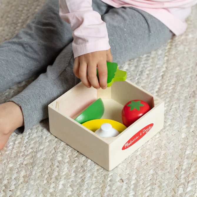 Wooden Food Groups Play Set -  Produce