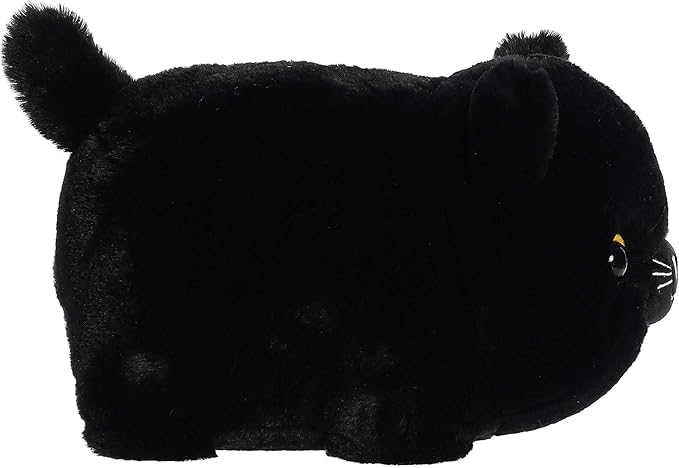 Bella Black Cat