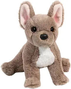 Gabbie French Bulldog