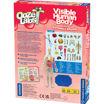 Ooze Labs: Visible Human Body with Squishable Organs - Little Pickles Toy Store