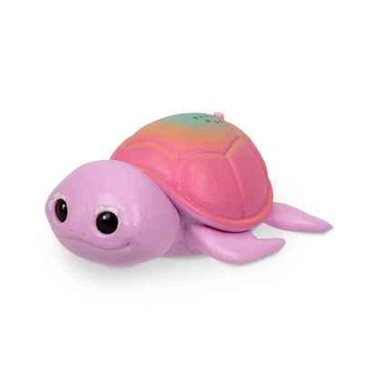 Little Live Pets - Candy Series