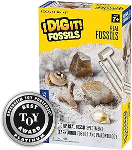I Dig It! Fossils