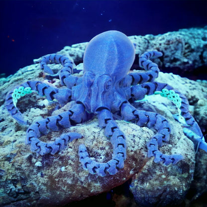 Octopus - Little Pickles Toy Store
