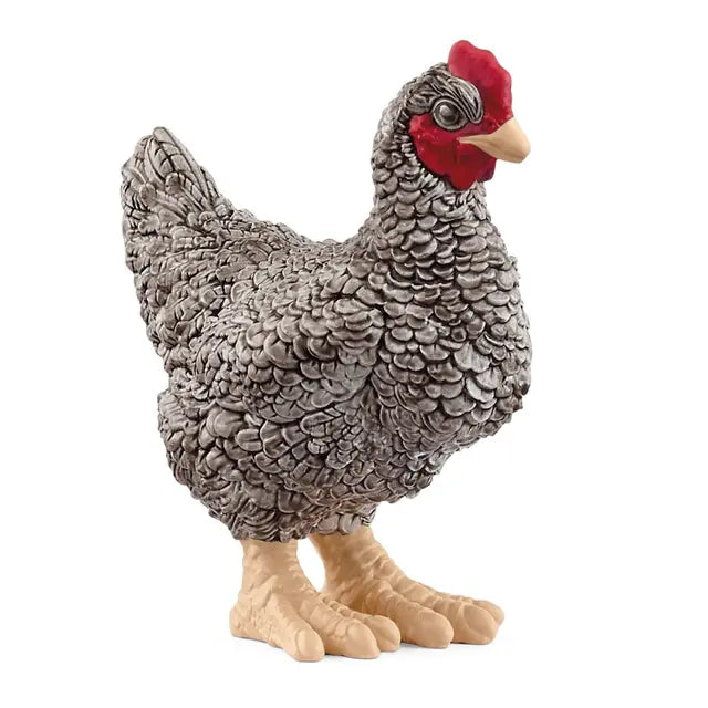 Plymouth Chicken