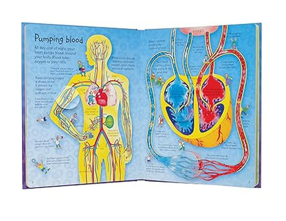 See Inside Your Body
