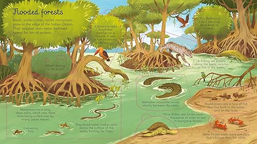Look Inside Seas and Oceans