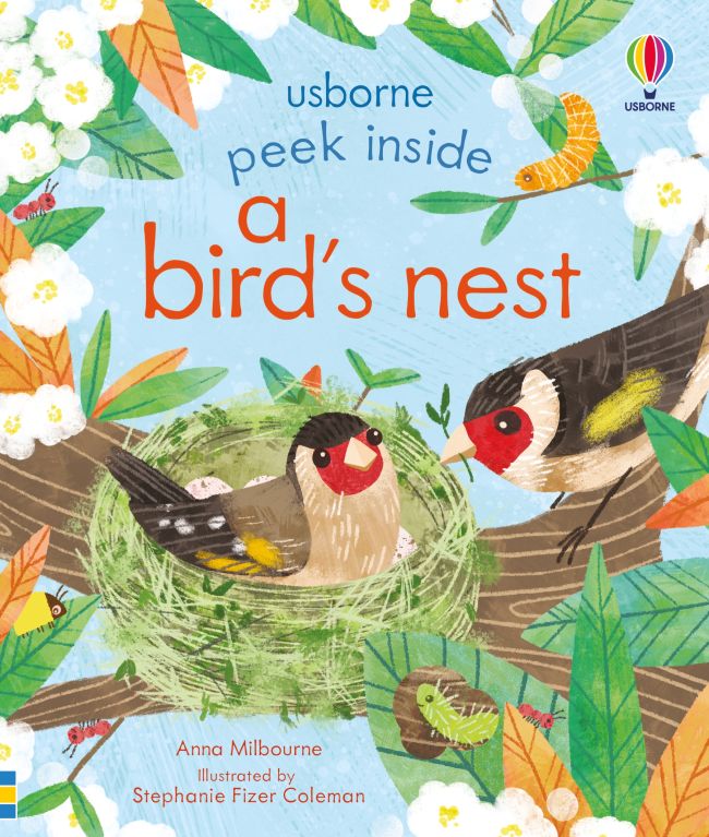 A Peek Inside A Birds Nest