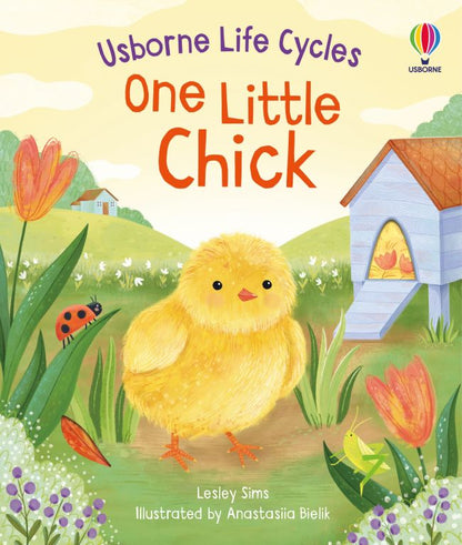 Usborne Life Cycles One Little Chick