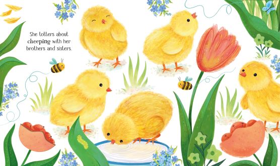Usborne Life Cycles One Little Chick