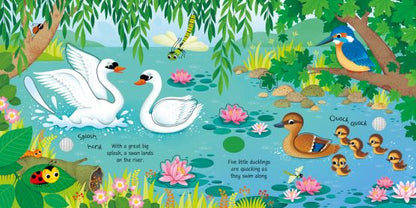 Usborne Sounds Birds Sounds