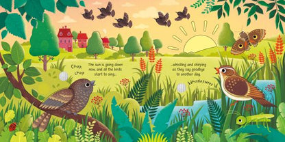 Usborne Sounds Birds Sounds