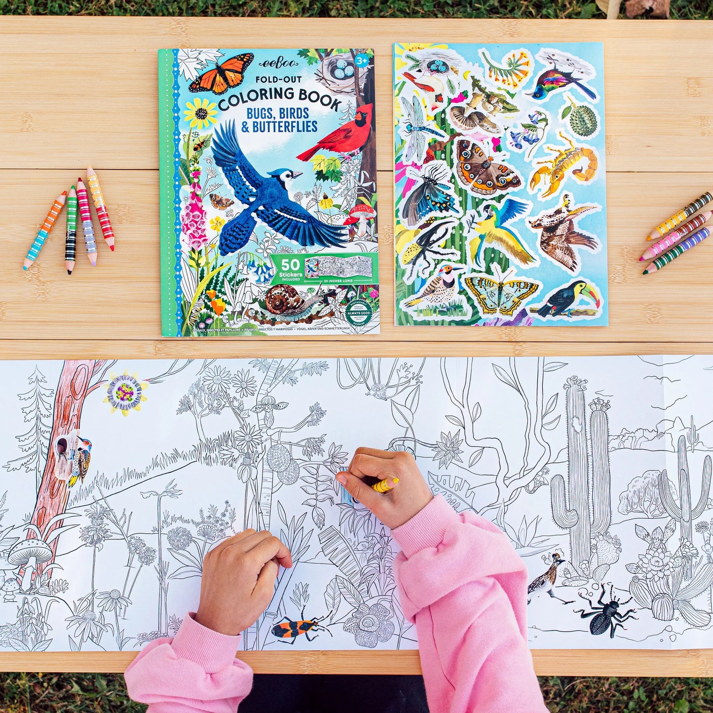 Bugs, Birds & Butterflies Fold-Out Coloring Book